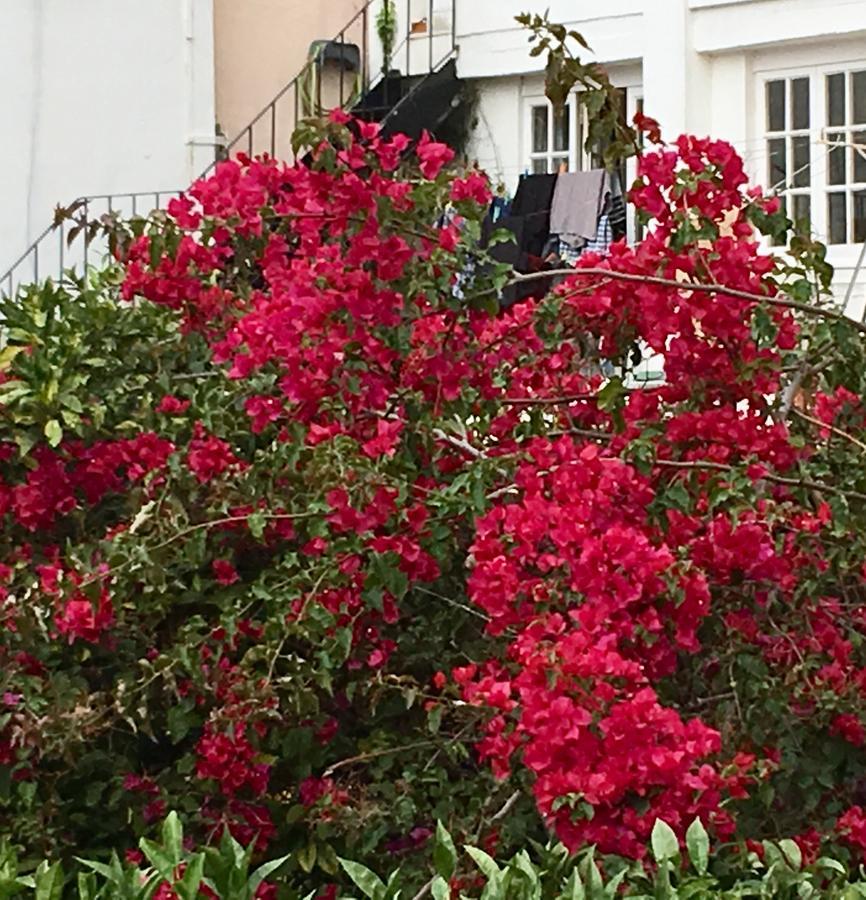 Flores Lisboa Eksteriør bilde
